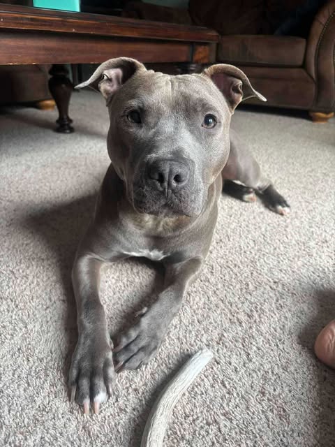 Barkley needs your support